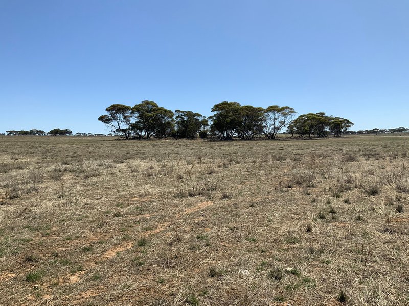 Photo - Lot 42 Piggy Flat Road, Ettrick SA 5253 - Image 2