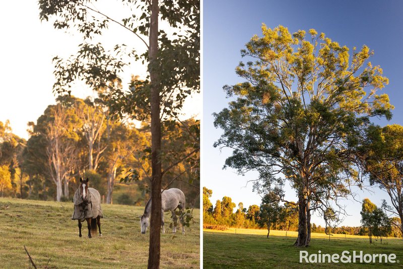 Photo - Lot 42 Pointer Road 'Skye Meadows' , Yatte Yattah NSW 2539 - Image 4