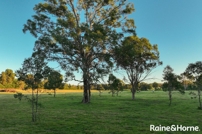 Photo - Lot 42 Pointer Road 'Skye Meadows' , Yatte Yattah NSW 2539 - Image 7