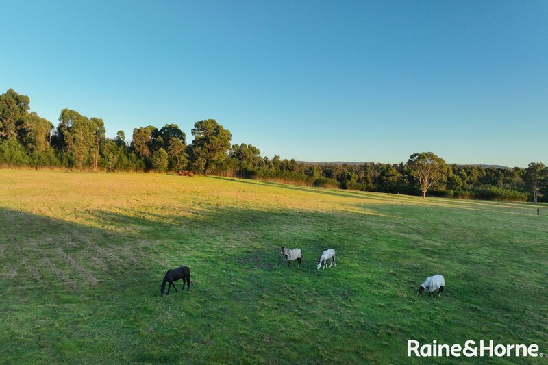 Photo - Lot 42 Pointer Road 'Skye Meadows' , Yatte Yattah NSW 2539 - Image 8