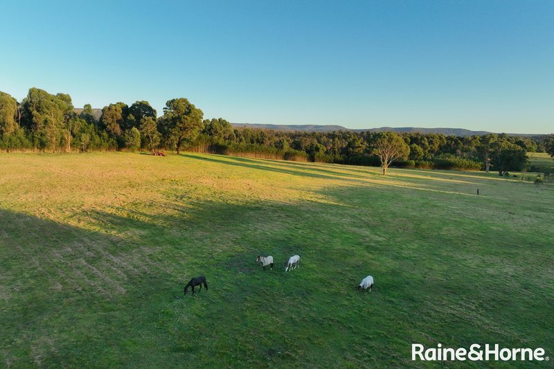 Photo - Lot 42 Pointer Road 'Skye Meadows' , Yatte Yattah NSW 2539 - Image 9