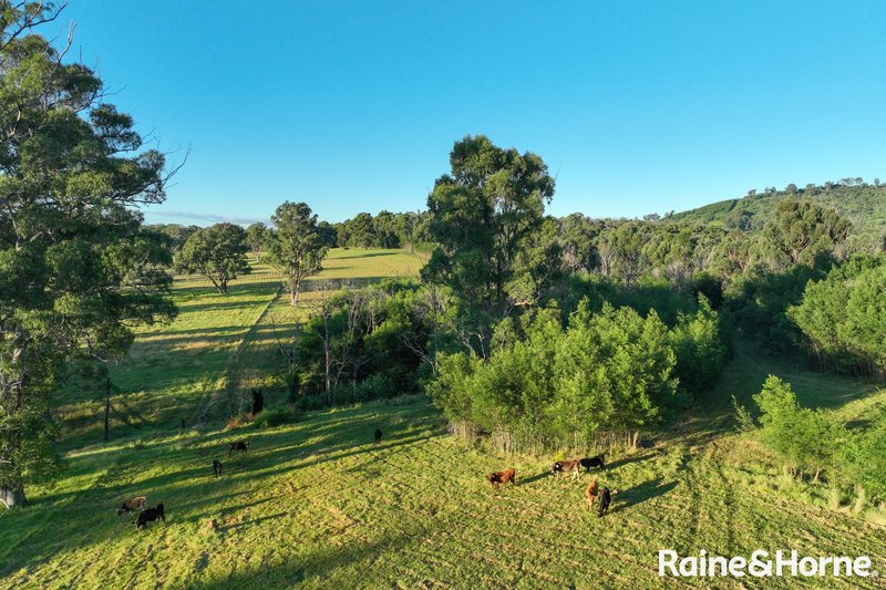 Photo - Lot 42 Pointer Road 'Skye Meadows' , Yatte Yattah NSW 2539 - Image 11