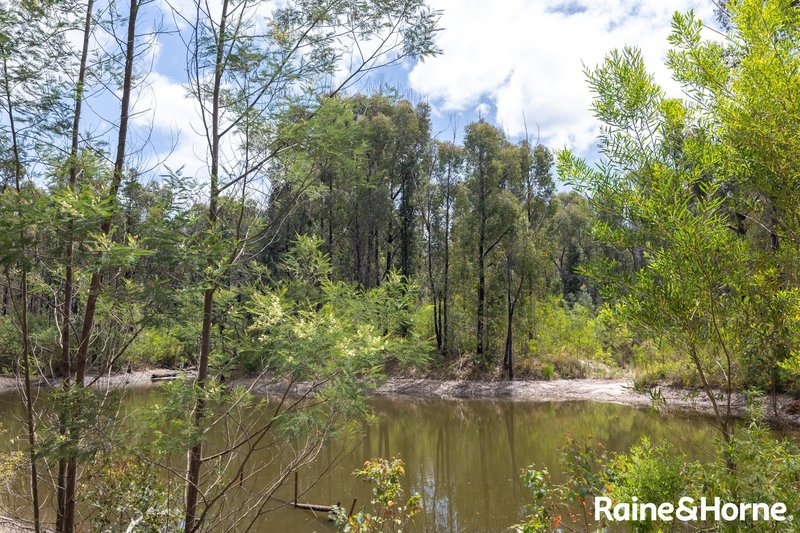 Photo - Lot 42 Pointer Road 'Skye Meadows' , Yatte Yattah NSW 2539 - Image 17