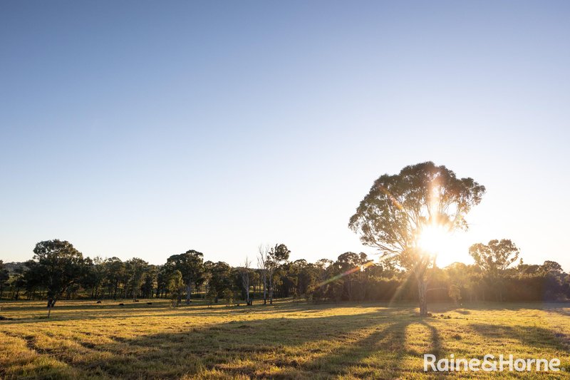 Photo - Lot 42 Pointer Road 'Skye Meadows' , Yatte Yattah NSW 2539 - Image 19