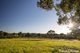 Photo - Lot 42 Pointer Road 'Skye Meadows' , Yatte Yattah NSW 2539 - Image 21