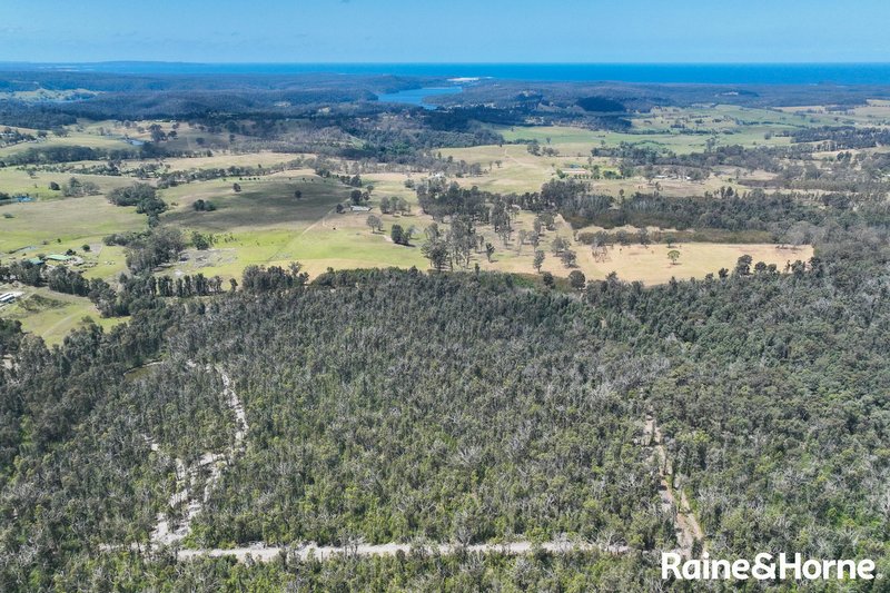 Photo - Lot 42 Pointer Road 'Skye Meadows' , Yatte Yattah NSW 2539 - Image 24