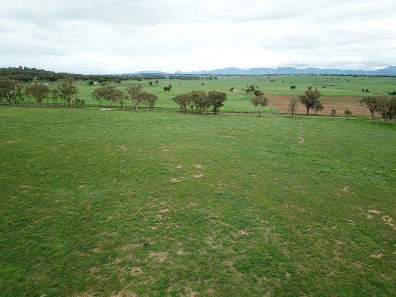 Photo - Lot 4232 Meadows Lane, Tamworth NSW 2340 - Image 6