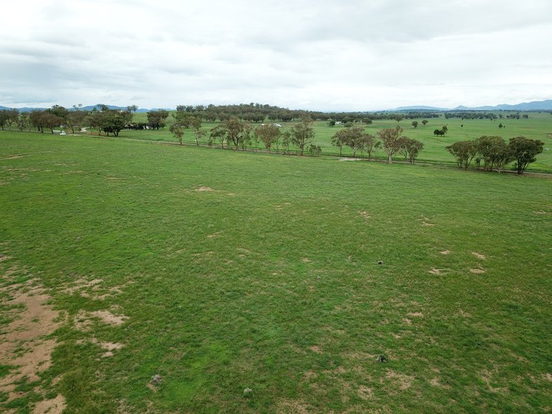 Photo - Lot 4233 Meadows Lane, Tamworth NSW 2340 - Image 2