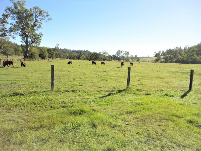 Photo - Lot 4/270-346 Wards Road, South Ripley QLD 4306 - Image 7