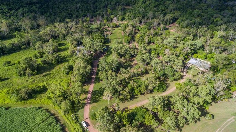 Photo - Lot 43 Tucker Road, Riordanvale QLD 4800 - Image 4