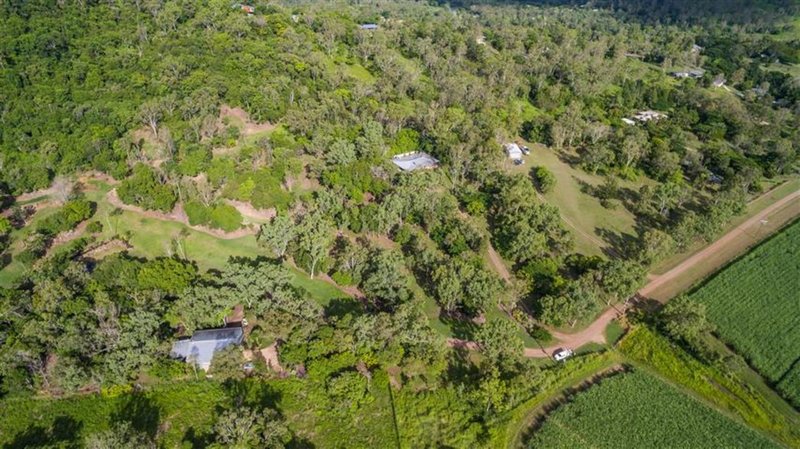 Photo - Lot 43 Tucker Road, Riordanvale QLD 4800 - Image 5