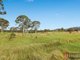 Photo - Lot 43 Turners Flat Road, Turners Flat NSW 2440 - Image 4