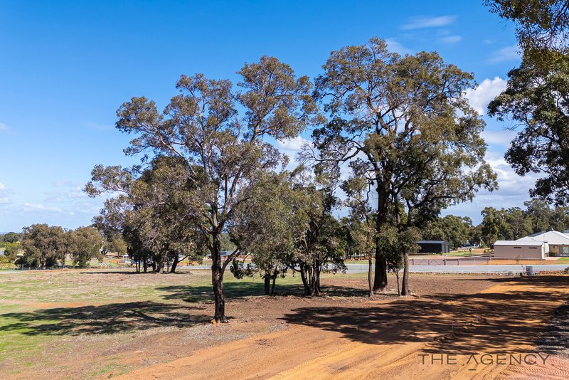 Photo - Lot 435 Fraternite Court, Baskerville WA 6056 - Image 11