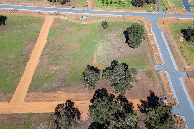 Photo - Lot 435 Fraternite Court, Baskerville WA 6056 - Image 18