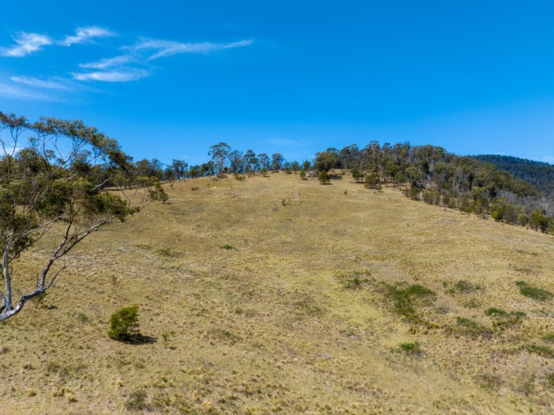 Photo - Lot 44 Mount Darragh Road, Wyndham NSW 2550 - Image 4