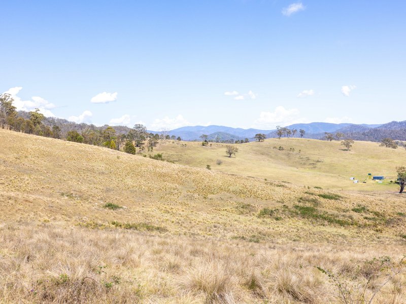 Photo - Lot 44 Mount Darragh Road, Wyndham NSW 2550 - Image 7