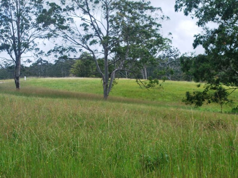 Photo - Lot 442/36 Gundarene Road, Lowanna NSW 2450 - Image 3