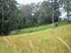 Photo - Lot 442/36 Gundarene Road, Lowanna NSW 2450 - Image 5