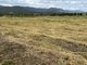 Photo - Lot 444 Swanfels Road, Swanfels QLD 4371 - Image 1