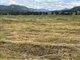 Photo - Lot 444 Swanfels Road, Swanfels QLD 4371 - Image 3