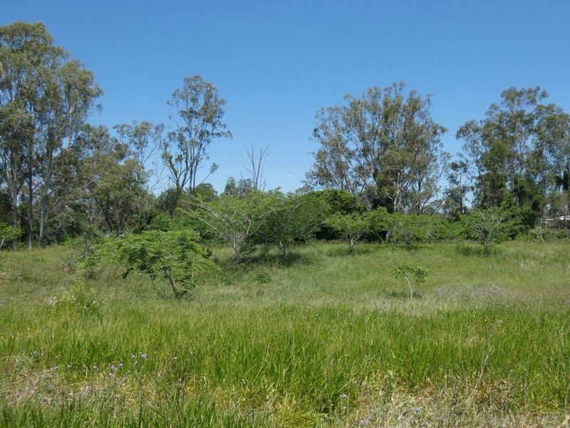 Photo - Lot 45 Brauers Road, Mount Maria QLD 4674 - Image 5