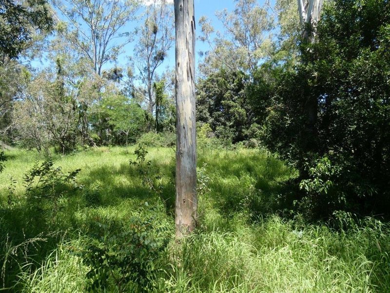 Photo - Lot 45 Brauers Road, Mount Maria QLD 4674 - Image 10