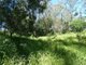 Photo - Lot 45 Brauers Road, Mount Maria QLD 4674 - Image 11