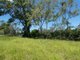 Photo - Lot 45 Brauers Road, Mount Maria QLD 4674 - Image 13