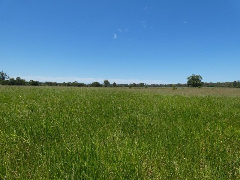 Photo - Lot 45 Brauers Road, Mount Maria QLD 4674 - Image 19