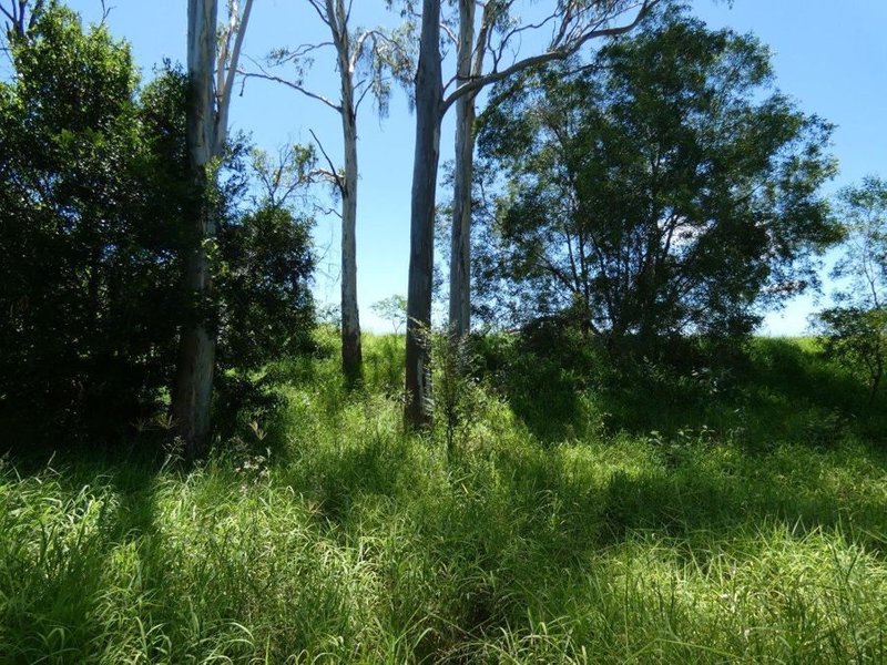 Photo - Lot 45 Brauers Road, Mount Maria QLD 4674 - Image 22