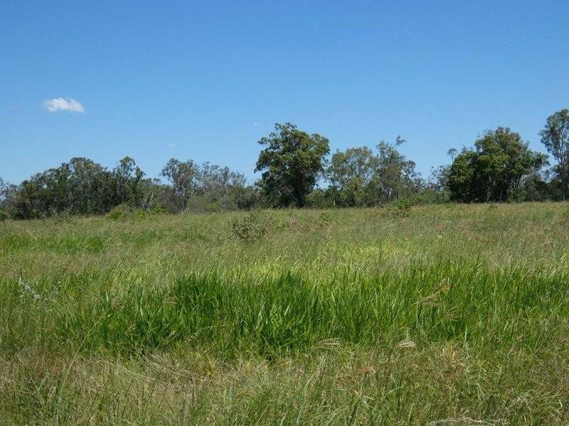 Photo - Lot 45 Brauers Road, Mount Maria QLD 4674 - Image 24