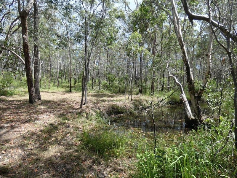 Photo - Lot 45 Whytallabah Road, Euleilah QLD 4674 - Image 2