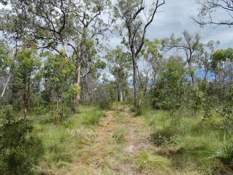 Photo - Lot 45 Whytallabah Road, Euleilah QLD 4674 - Image 4