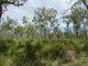 Photo - Lot 45 Whytallabah Road, Euleilah QLD 4674 - Image 5