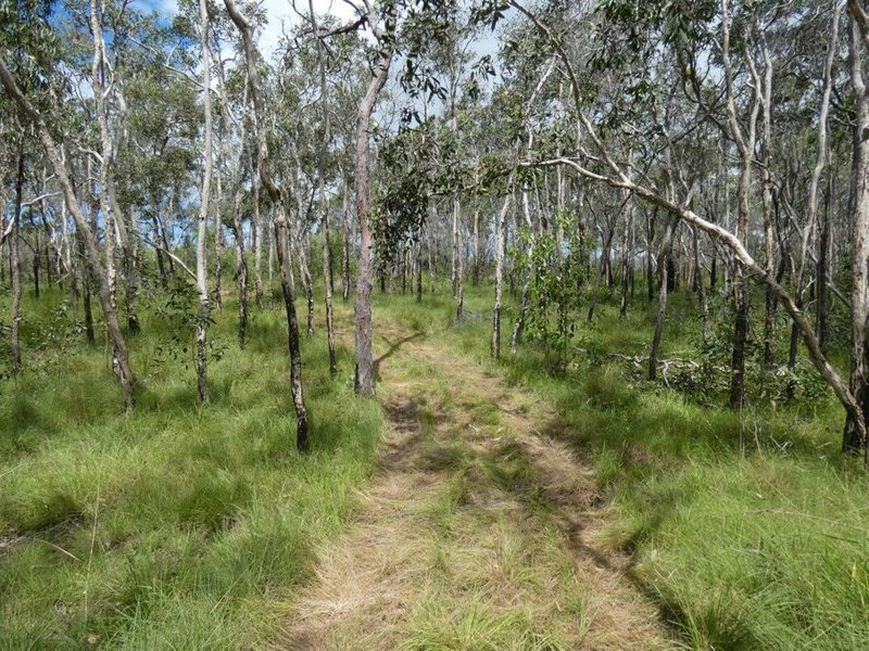 Photo - Lot 45 Whytallabah Road, Euleilah QLD 4674 - Image 7