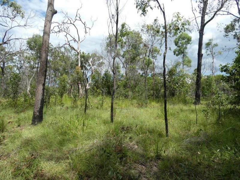 Photo - Lot 45 Whytallabah Road, Euleilah QLD 4674 - Image 8