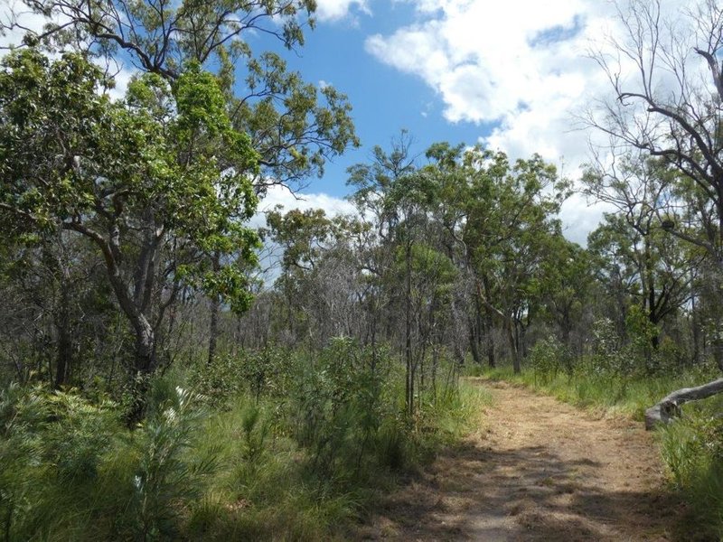 Photo - Lot 45 Whytallabah Road, Euleilah QLD 4674 - Image 9