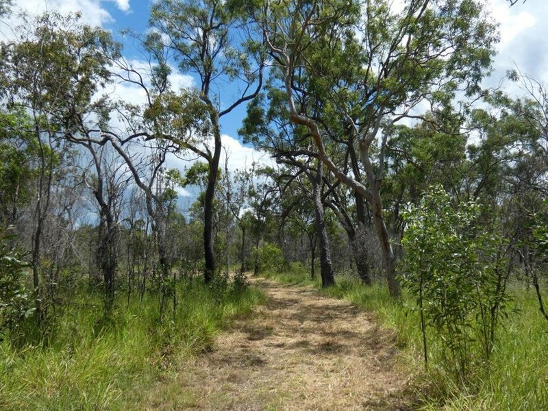 Photo - Lot 45 Whytallabah Road, Euleilah QLD 4674 - Image 10