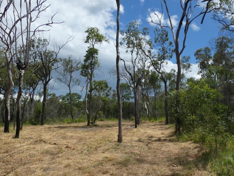 Photo - Lot 45 Whytallabah Road, Euleilah QLD 4674 - Image 11