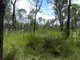 Photo - Lot 45 Whytallabah Road, Euleilah QLD 4674 - Image 15