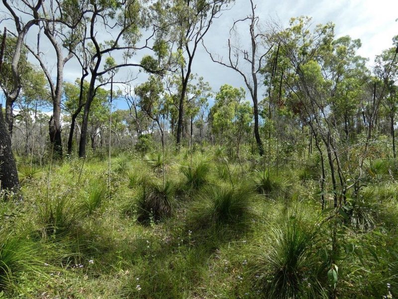 Photo - Lot 45 Whytallabah Road, Euleilah QLD 4674 - Image 16