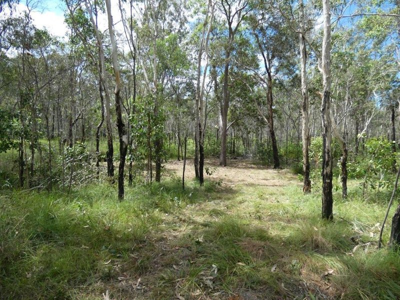 Photo - Lot 45 Whytallabah Road, Euleilah QLD 4674 - Image 17