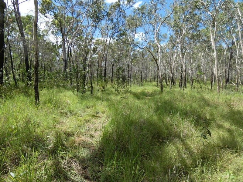 Photo - Lot 45 Whytallabah Road, Euleilah QLD 4674 - Image 18