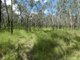 Photo - Lot 45 Whytallabah Road, Euleilah QLD 4674 - Image 18