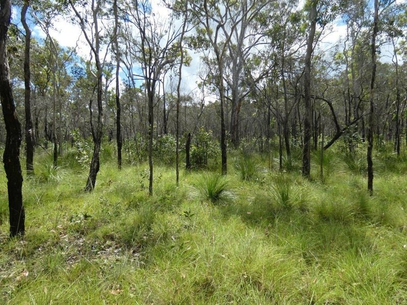 Photo - Lot 45 Whytallabah Road, Euleilah QLD 4674 - Image 21