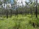 Photo - Lot 45 Whytallabah Road, Euleilah QLD 4674 - Image 22