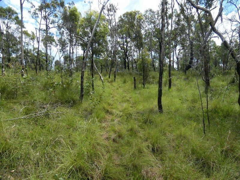 Photo - Lot 45 Whytallabah Road, Euleilah QLD 4674 - Image 24