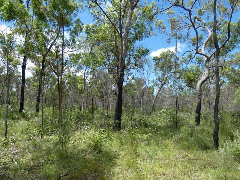 Photo - Lot 45 Whytallabah Road, Euleilah QLD 4674 - Image 26