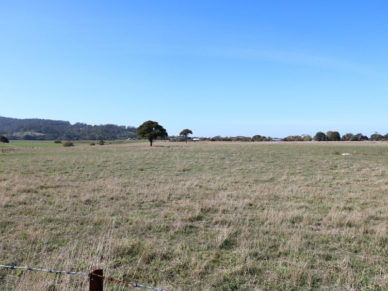 Photo - Lot 45/38 Annie Street, St Helens TAS 7216 - Image 3