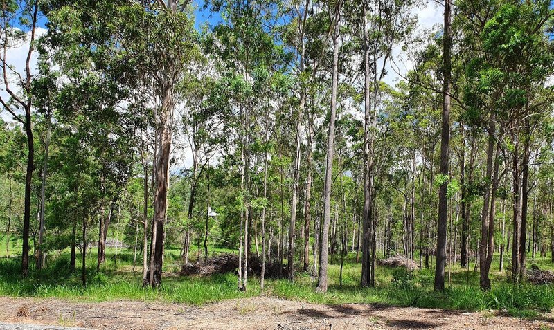 Photo - Lot 457 Arborsixteen Road, Glenwood QLD 4570 - Image 2